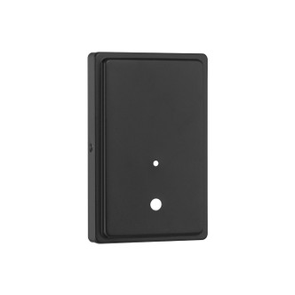 Kendrix One Light Lantern (66001-PBK)