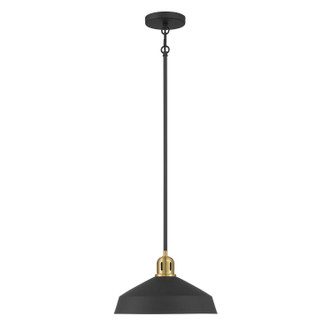 Axlen One Light Pendant (9941-MB/VB)