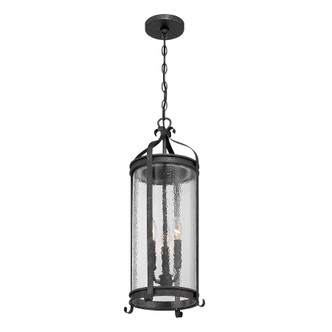 Preston Three Light Outdoor Hanging Lantern (5-110-337)