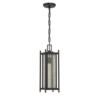 Jacobs One Light Outdoor Hanging Lantern (5-3806-BK)
