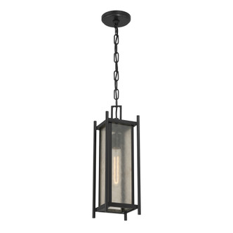 Jacobs One Light Outdoor Hanging Lantern (5-3806-BK)