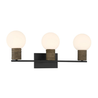 Jarrell Three Light Bathroom Vanity (8-4081-3-BK)