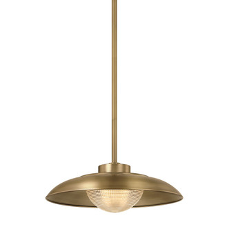 Troy Lighting - F4118-PBR - One Light Pendant - Braxton - Patina Brass