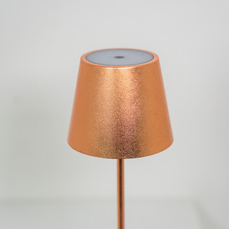 Poldina Pro LED Table Lamp (LD0340RFR)