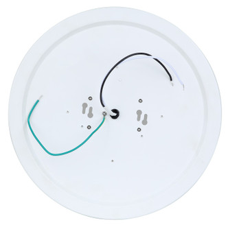 Briar LED Flush Mount (CL-25F-12-WH-C)