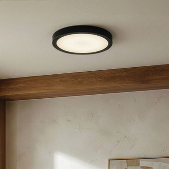 Dl-11F-25Dcw LED Flush Mount (DL-11F-25DCW-BK-C)