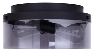 Nina Two Light Flush Mount (IFM2288B12BK)