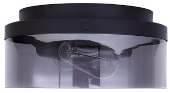 Nina Two Light Flush Mount (IFM2288B12BK)