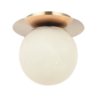Nikini LED Wall Sconce/Ceiling Mount (WX41711CG)