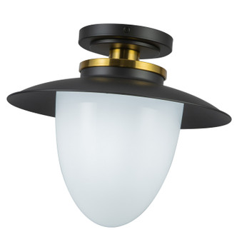 Dahlia One Light Pendant (AC11905BB)