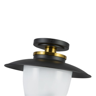 Dahlia One Light Pendant (AC11905BB)