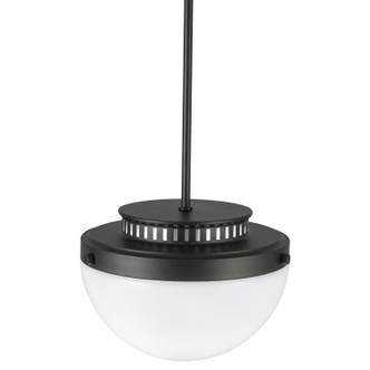 Dahlia One Light Pendant (AC12010BK)