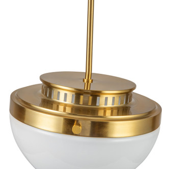 Dahlia One Light Pendant (AC12010BR)