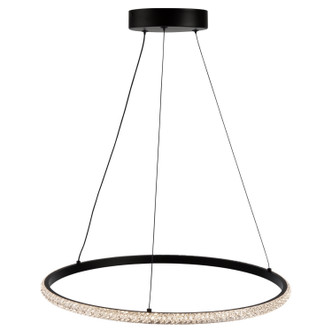 Nova LED Pendant (AC6711BK)