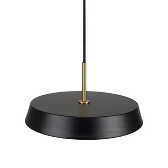 Lexi LED Pendant (AC6900BK)