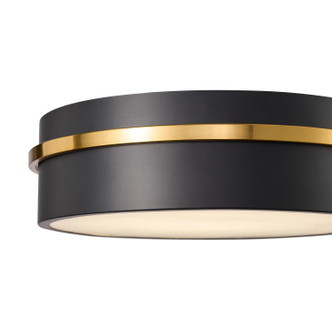 Dax LED Flush Mount (AC6990BB)