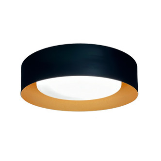 Orsa LED Flush Mount (AC7423BK)