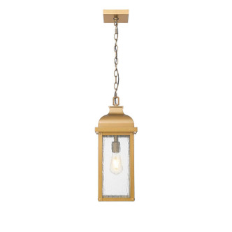 Artcraft - AC8185WB - One Light Outdoor Pendant - Madrid - Weathered Brass