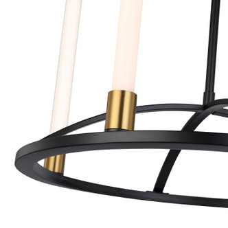 Infiniti LED Chandelier (SC13084BB)