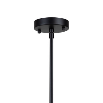 Pullman Four Light Pendant (SC13364BK)