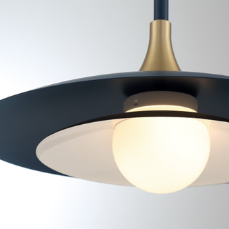 Welsh LED Pendant (46441-027)