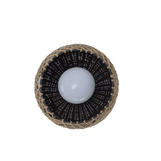 Hannha One Light Outdoor & Landscape (46634-016)