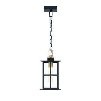 Eurofase - 47388-017 - LED Pendant - Greyson - Brass-Black Mix