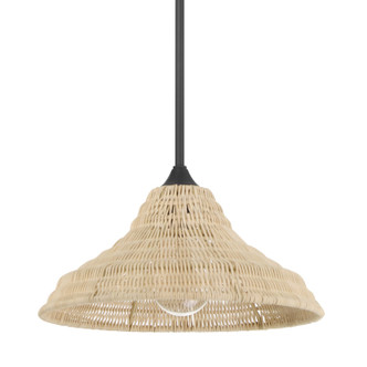 Hunter - 48081 - One Light Pendant - Agoura - Matte Black