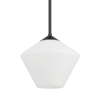 Hunter - 48100 - One Light Pendant - Celestial Valley - Matte Black