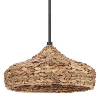 Hunter - 49028 - One Light Pendant - Cambria - Matte Black