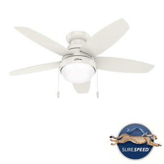 Lilliana 44" Ceiling Fan (51224)