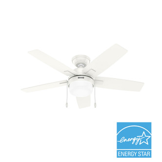 Anisten 44" Ceiling Fan (52774)