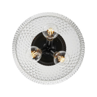 Adeline Three Light Flush Mount (1088-3FM BLK-CLR)