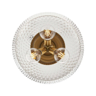 Adeline Three Light Semi-Flush Mount (1088-3SF MBG-CLR)