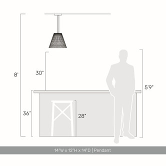 Clarus LED Pendant (2419-14 GCT)