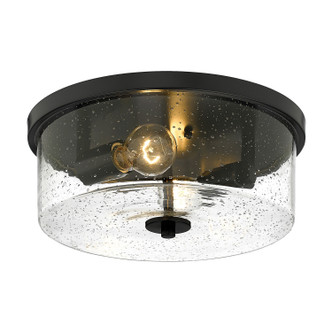 Rayne Two Light Flush Mount (4307-FM BLK-SD) Rayne Two Light Flush Mount (4307-FM BLK-SD)