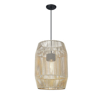 Seabrooke One Light Outdoor Pendant (6073-O1P NB-SS)