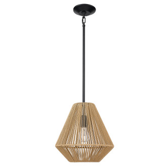 Valentina One Light Pendant (6937-M BLK-NR)