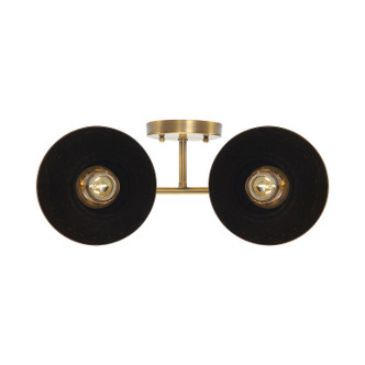 Shepard Two Light Vanity (6950-BA2 MBS-BLK)