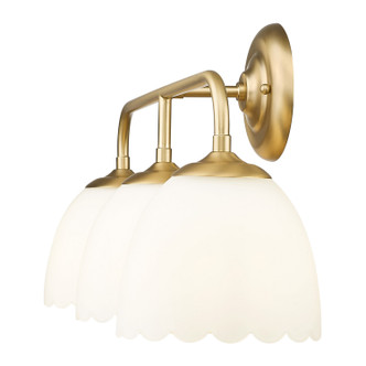 Dorinda Three Light Vanity (6954-BA3 BCB-OP)