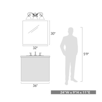 Homestead Three Light Vanity Light (8606-BA3 BLK-CLR)