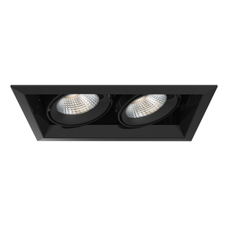 Eurofase - TE132LED-40-4-01 - MULT26WTRM2LT40KBLK/BLK - TE SERIES - Black