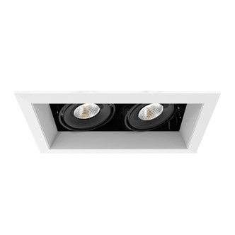 Eurofase - TE162LED-40-2-02 - MULT15WTRM2LT40KWHT/BLK - TE SERIES - White