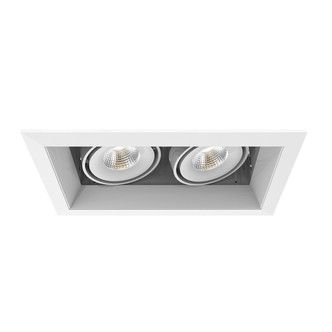 Eurofase - TE162LED-40-2-22 - MULT15WTRM2LT40KWHT/WHT - TE SERIES - White