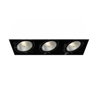 Eurofase - TE223-01 - MULTPAR30TRIMLSS3LT75WBLK - PAR30MULTI-GEN - Black