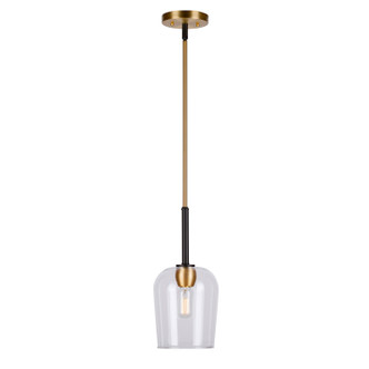 Forte - 2726-01-62 - One Light Mini Pendant - Palmer - Black and Soft Gold