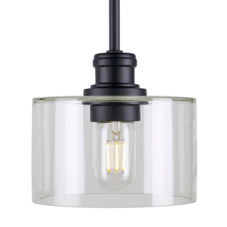 Zane One Light Mini Pendant (2748-01-04)