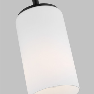 manufacturer_finish:Midnight Black/Unspecified|light_source:Unspecified|light_output:Unspecified|color_temperature:Unspecified|cri:Unspecified