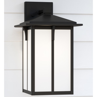 manufacturer_finish:Black|light_source:Unspecified|light_output:Unspecified|color_temperature:Unspecified|cri:Unspecified