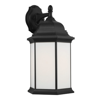 manufacturer_finish:Black|light_source:Unspecified|light_output:Unspecified|color_temperature:Unspecified|cri:Unspecified